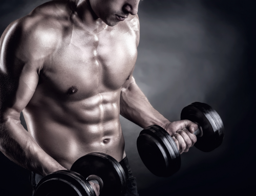 [Studie bestätigt – Teil 1] Wodurch Muskelmasse wirklich entsteht